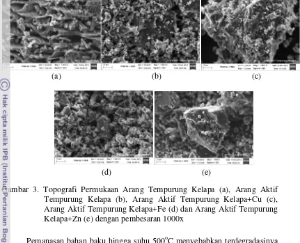 Gambar 3. Topografi Permukaan Arang Tempurung Kelapa (a), Arang Aktif 