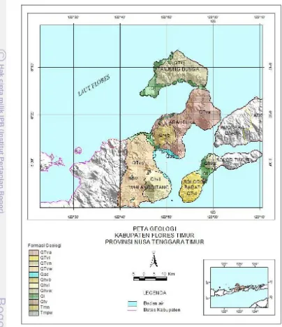 Gambar 4. Peta Sebaran Formasi Geologi di Wilayah Kabupaten Flores Timur 