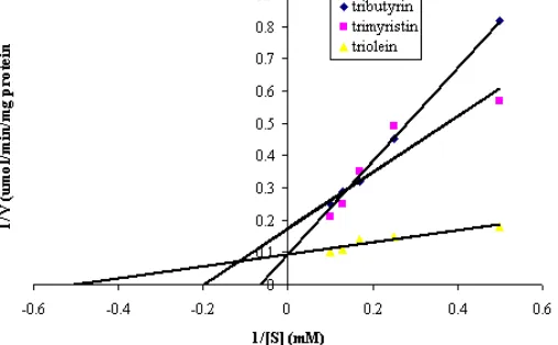 Figure 1. Effect of temperature on lipase specific Activity of cocoa beans