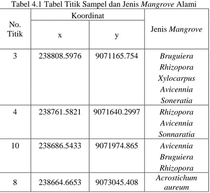 Tabel 4.1 Tabel Titik Sampel dan Jenis Mangrove Alami  No.  Titik  Koordinat  Jenis Mangrove  x  y  3  238808.5976  9071165.754  Bruguiera           Rhizopora           Xylocarpus           Avicennia           Soneratia  4  238761.5821  9071640.2997  Rhizo