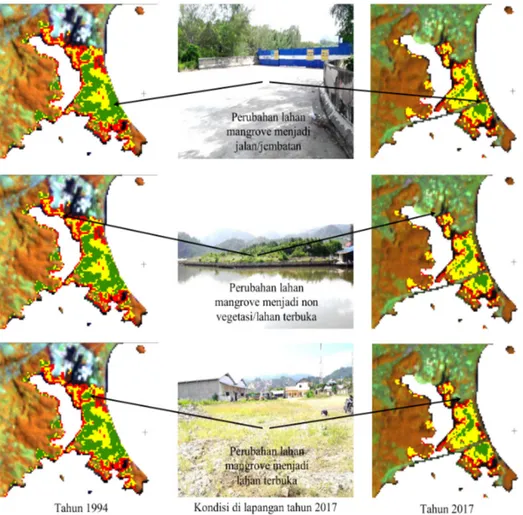 Gambar 3. Bentuk perubahan dan konversi lahan mangrove kawasan Teluk Youtefa tahun 1994 ke tahun 2017
