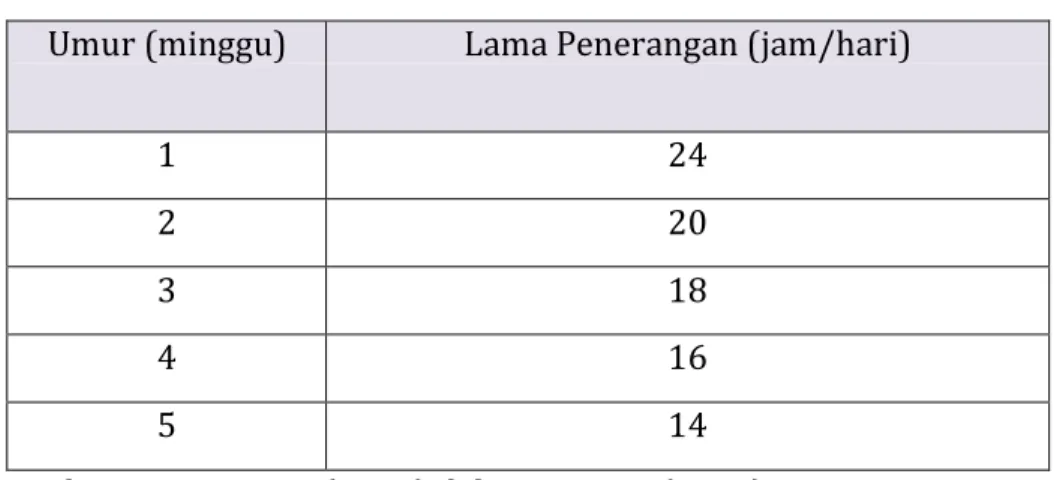 Tabel 13. Program pencahayaan periode starter  Umur (minggu)  Lama Penerangan (jam/hari) 