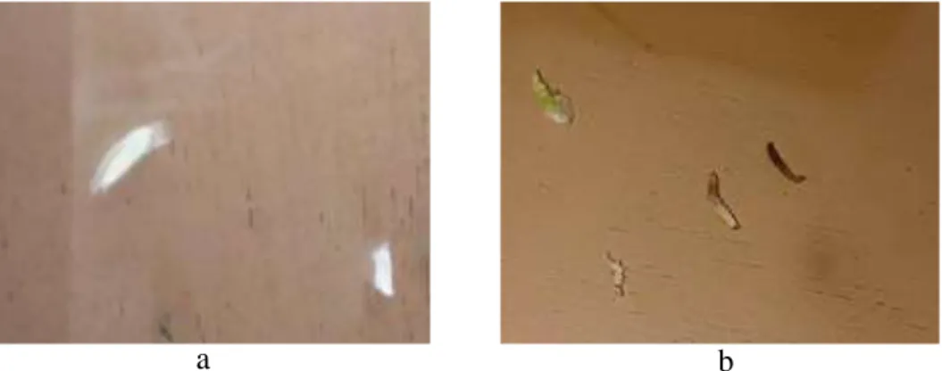 Gambar 2. Mortalitas Larva Akibat Perlakuan (a) Jamur B. bassiana (b)  Hasil  pengamatan  menunjukkan  perlakuan  A