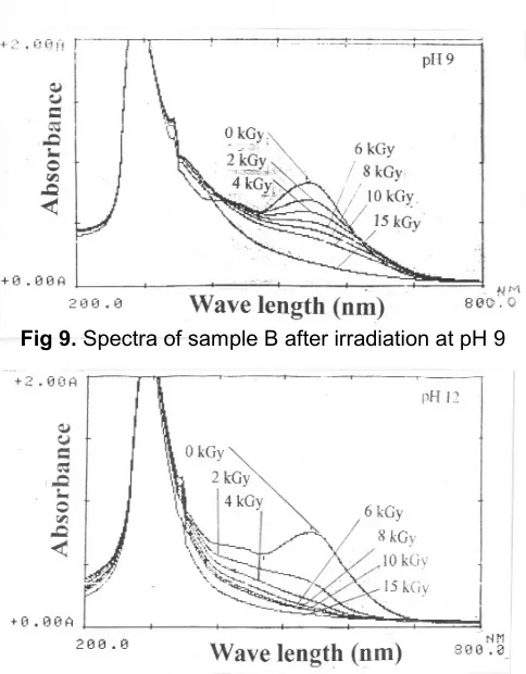Fig 9. Spectra of sample B after irradiation at pH 9