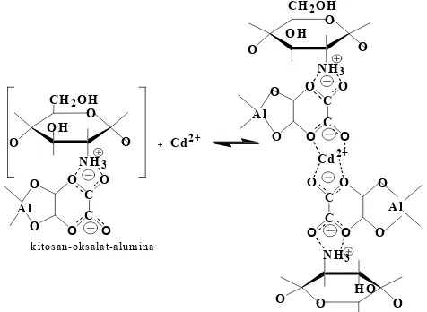 Gambar 8. 2 Reaksi kitosan-alumina dengan logamCd(II)
