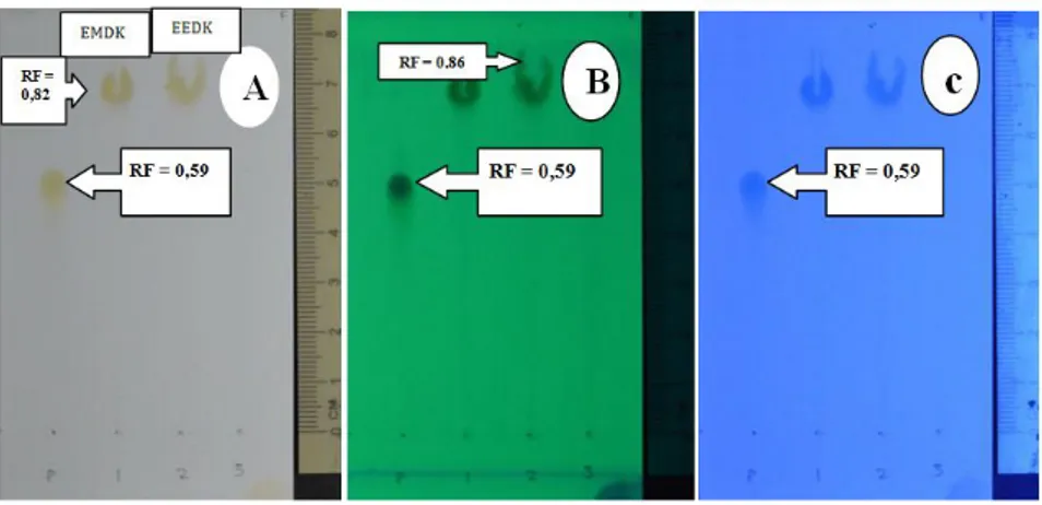 Gambar 3.   Kromatogram  identifikasi  senyawa  flavonoid  dalam  EMDK,  EEDK  dan  pembanding rutin 