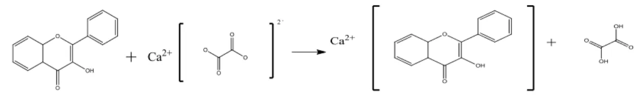 Gambar 3. Reaksi flavonoid daun sirsak (Annona muricata L) dengan kalsium  oksalat. 