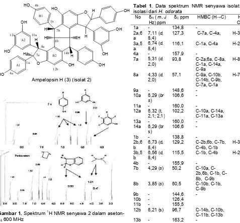 Tabel 1. Data spektrum NMR senyawa isolat 2 hasilisolasi dari H. odorata