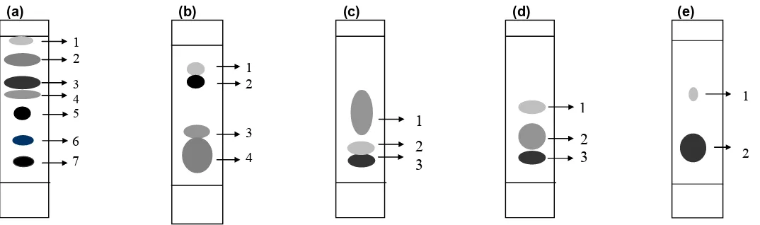 Gambar 1.Komposisi pigmen (a) daun muda jati , (b) akar mengkudu, (c) rimpang kunyit, (d) kulitbatang kasuari dan(e) akar pinang dari hasil KLT