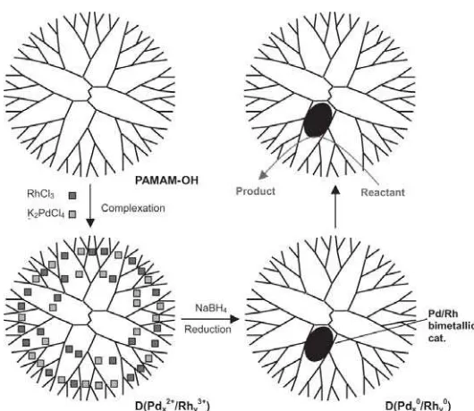 Fig. 3 Schematic diagram of preparation of dendrimer-encapsulated Rd/Rh Nanoparticles [17]