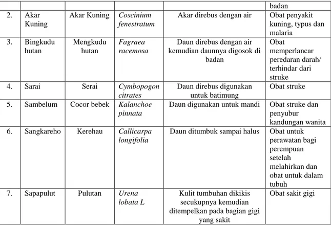 Tabel  4.3  Jenis-jenis  Tumbuhan  Obat  yang  Ditemukan  di  Kelurahan  Jambu  Muara Teweh Berdasarkan Informasi Battra 2 