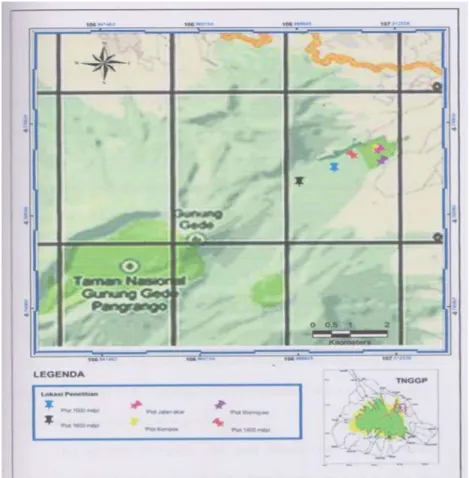 Gambar 1. Lokasi penelitian di hutan TNGGP  HASIL 