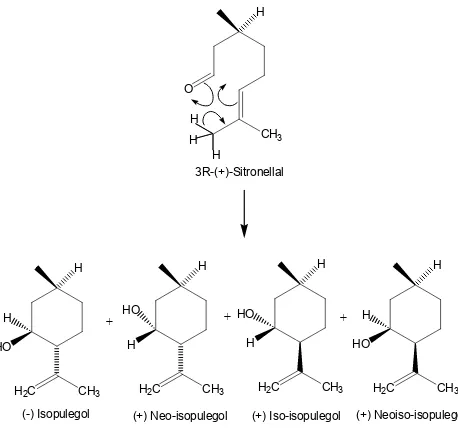 Gambar 1  Reaksi siklisasi sitronelal menjadi isopulegol  