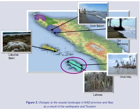 Figure 3. Changes to the coastal landscape in NAD province and Nias