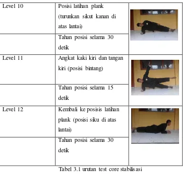 Tabel 3.2 Level Dan Katagori Tes Core Stabilisasi 