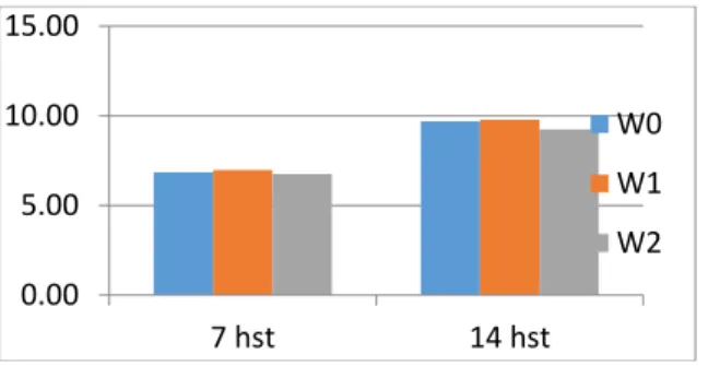 Gambar 5. Pengaruh interval waktu aplikasi pupuk cair  super bionik terhadap jumlah daun umur 7 hst dan 14 