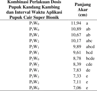 Tabel 12. Interaksi antara dosis pupuk kandang kambing  dan  interval  waktu  aplikasi  pupuk  cair  super  bionik  terhadap  variabel  pengamatan  panjang  akar tanaman selada