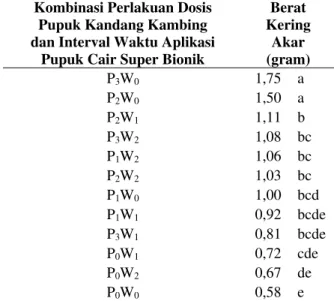 Tabel 13. Interaksi antara dosis pupuk kandang kambing  dan  interval  waktu  aplikasi  pupuk  cair  super  bionik  terhadap  variabel  pengamatan  berat  kering akar tanaman selada