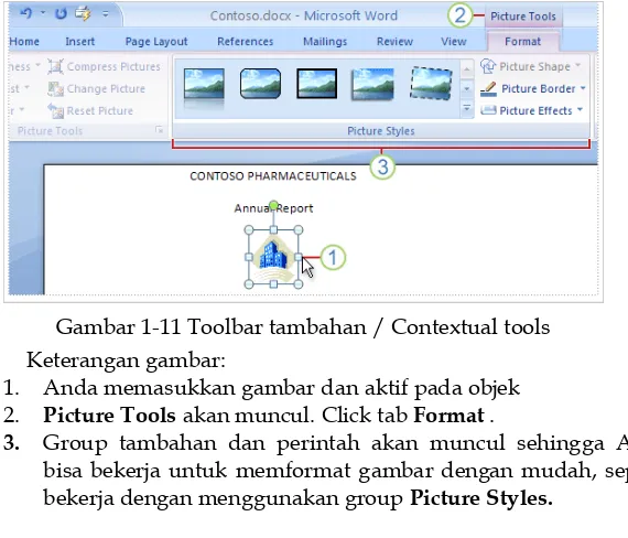 Gambar 1-11 Toolbar tambahan / Contextual tools 