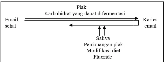 Gambar 2.2. Interaksi faktor-faktor etiologi karies gigi. 9