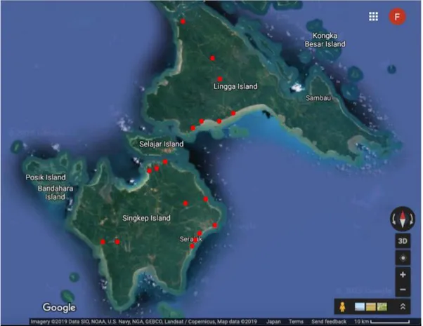 Gambar 4.  Peta lokasi pengamatan lapangan (titik merah) di Pulau Singkep dan Lingga (modifikasi dari googlemaps)