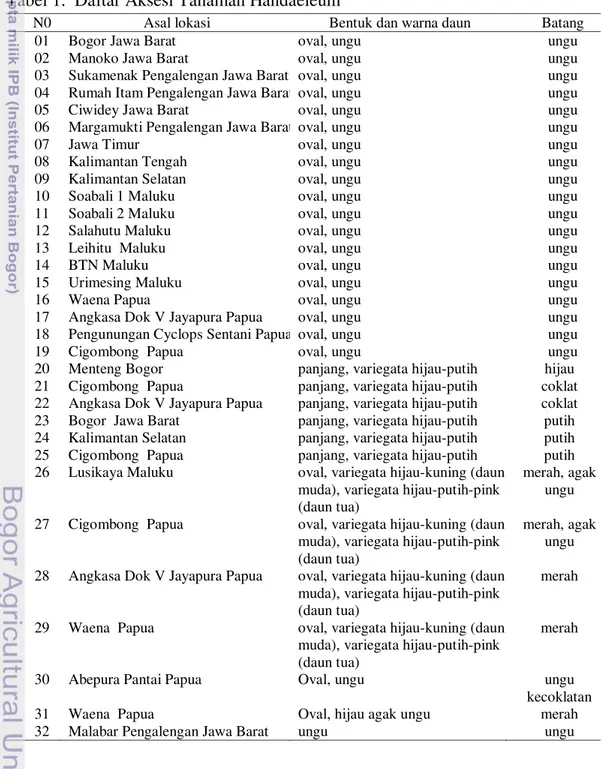 Tabel 1.  Daftar Aksesi Tanaman Handaeleum 
