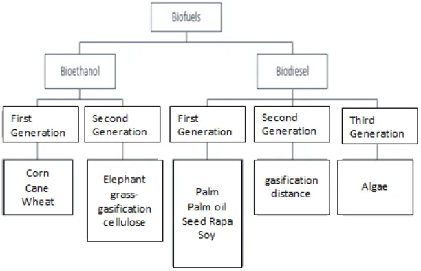 Figure 7. Biofuel classification based on its raw material. Source:  Design of Reactor Product of Biofuel Producer for Coastal                                                       Area , Journal of Graduate Degree of Art and Design, No.1,    2012, p