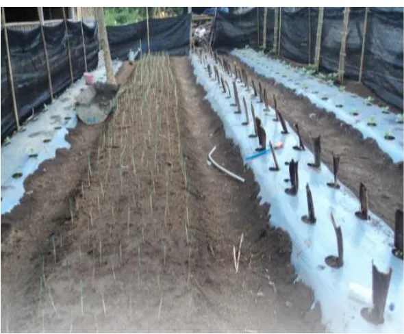Figure 10.Source: Livestock Waste being Channeled into Tub Shelter   R & D ESDM, Moving with Renewable Energy, (Jakarta: R & D                  ESDM, 2014), p
