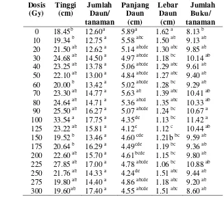 Gambar 10. Tanaman sambiloto hasil irradiasi pada generasi M1V0 berumur 10 MST 