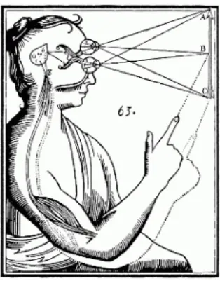 Figure 3.1: Interaction of soul and body through the pineal gland accordingto Descartes.