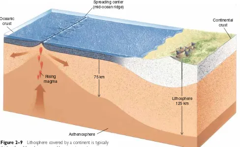Figure 2–9Lithosphere covered by a continent is typicallythicker than lithosphere covered by oceanic crust.