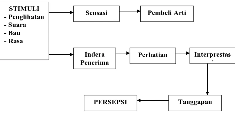 Gambar 2.1 Proses Perseptual 