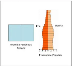 Gambar 6. Piramida Penduduk Dewasa dan Perbandingan Pria dan Wanita