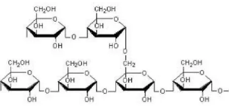 Gambar 2.3. Struktur kimia amilosa 
