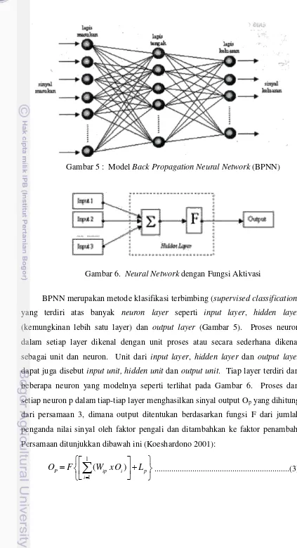 Gambar 6.  Neural Network dengan Fungsi Aktivasi 
