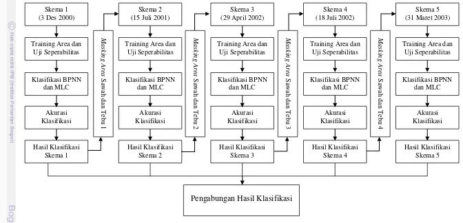 Gambar 8. Skema Klasifikasi Lahan Sawah dan Tebu Secara Bertahap Menggunakan Citra Landsat ETM+ Multitemporal.