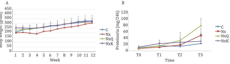 Figure 1. A) Changes in body weight during the study. Neprectomized rats exhibited a reduced of body weight as compared to the other groups