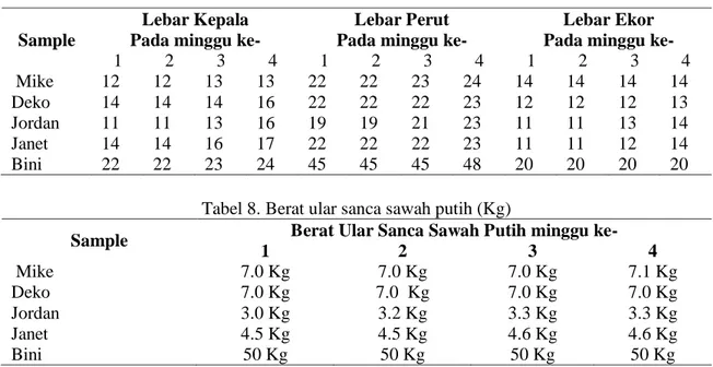 Tabel 7. Lebar tubuh ular sanca sawah putih (cm) 