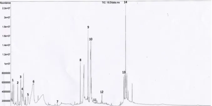 Gambar 2. Profil kromatogram dari FD-2.