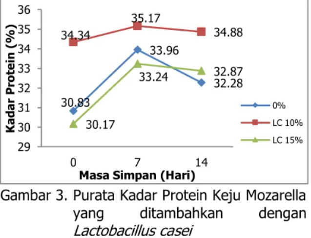 Gambar 3. Purata Kadar Protein Keju Mozarella  yang  ditambahkan  dengan  Lactobacillus casei 