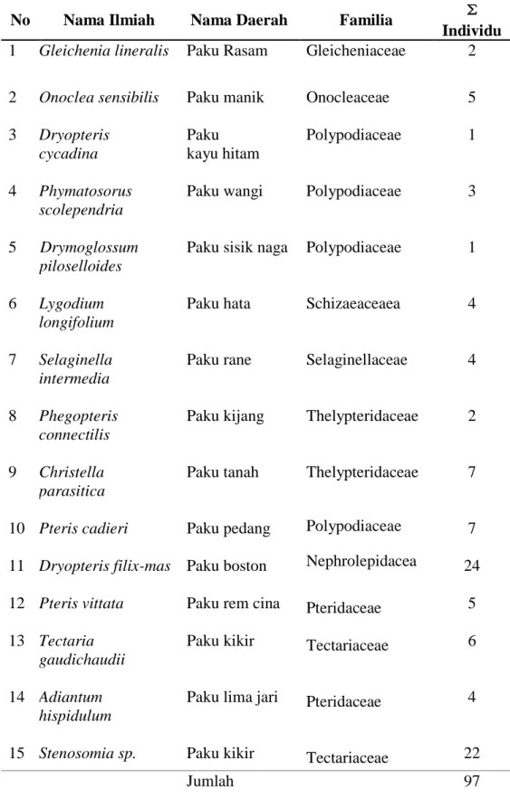 Tabel  4.2  Jenis  Tumbuhan  Paku  (Pteridophyta)    yang  terdapat  di  Kawasan      Air Terjun Malaka pada Stasiun 1 