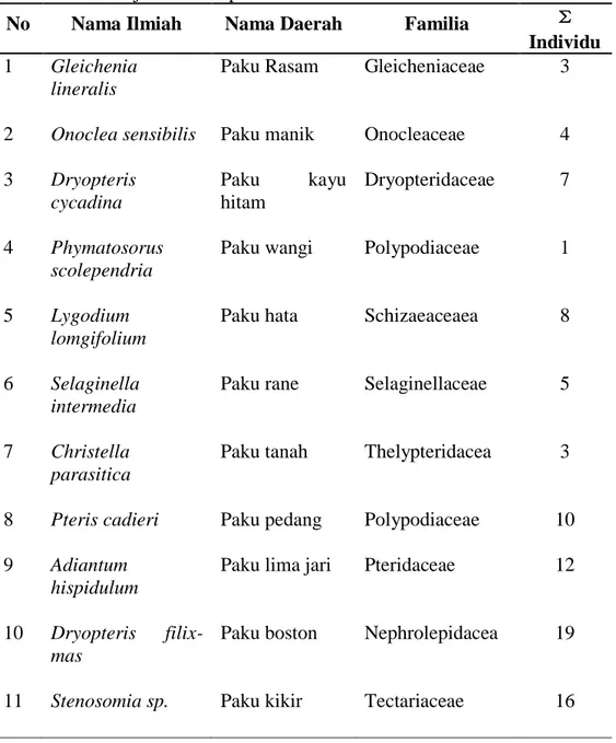 Tabel  4.3  Jenis  Tumbuhan  Paku  (Pteridophyta)  yang  terdapat  di  Kawasan        Air Terjun Malaka pada Stasiun 2 