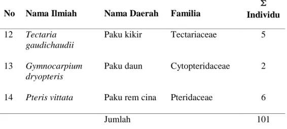 Tabel  4.4  Jenis  Tumbuhan  Paku  (Pteridophyta)    yang  terdapat  di  Kawasan  Air Terjun Malaka pada Stasiun 3 