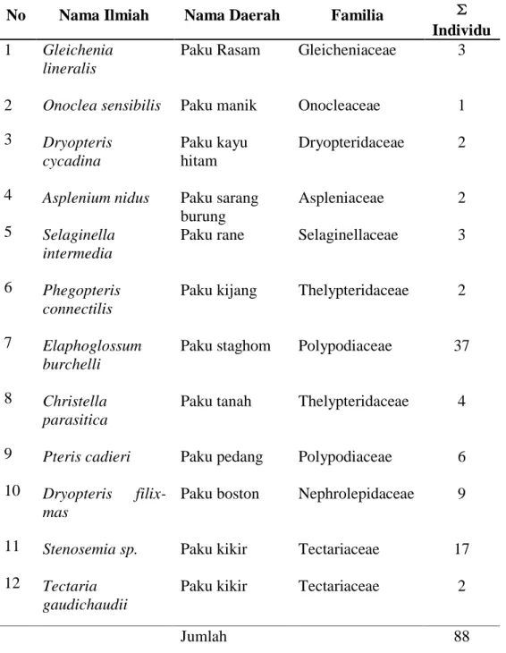 Tabel  4.5  Jenis  Tumbuhan  Paku  (Pteridophyta)    yang  terdapat  di  Kawasan  Air Terjun Malaka pada Stasiun 4 