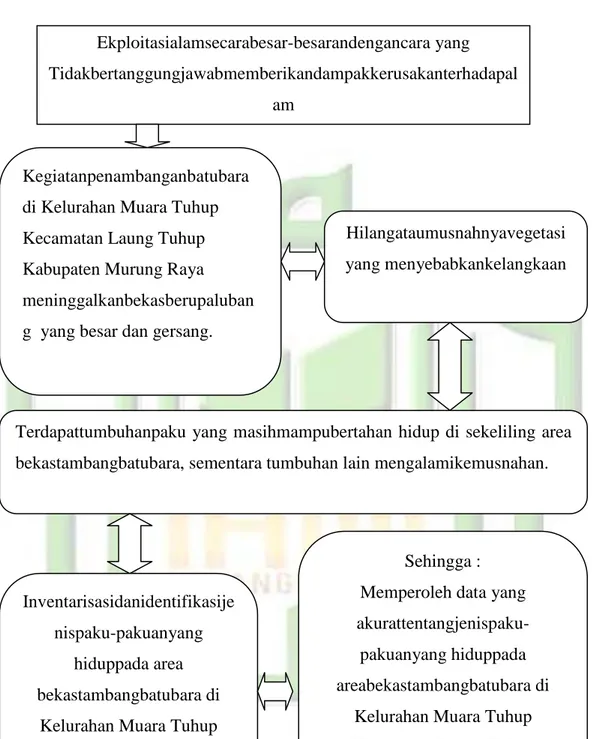 Gambar 2.11 Kerangka konseptual Penelitian 