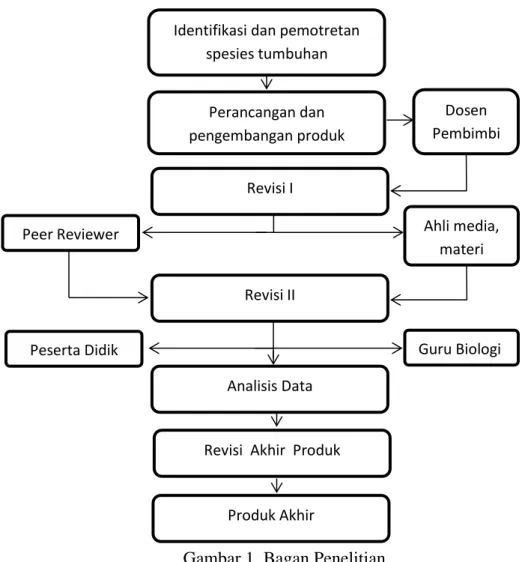 Gambar 1. Bagan Penelitian 