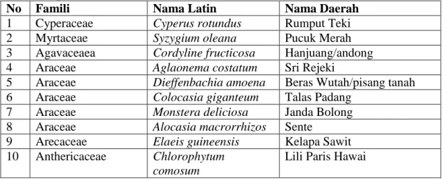 Tabel  1.2  Jenis-jenis  Tumbuhan  Angiospermae  monokotil  yang  terdapat  di  Kecamatan  Medan Amplas 