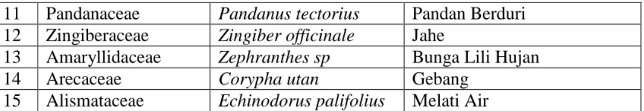 Tabel 1.3 Jenis-jenis Tumbuhan Angiospermae dikotil yang terdapat di Kecamatan Medan  Amplas 