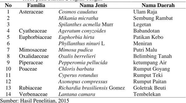 Tabel 4.2 Jenis-jenis Tumbuhan Herba yang Terdapat di Kawasan DAS Kreung Jreue pada Stasiun 2 bagian Tengah