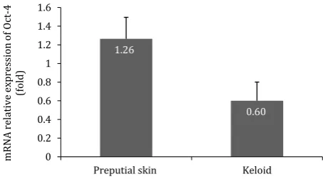 Figure 1 shows that Oct-4 mRNA 